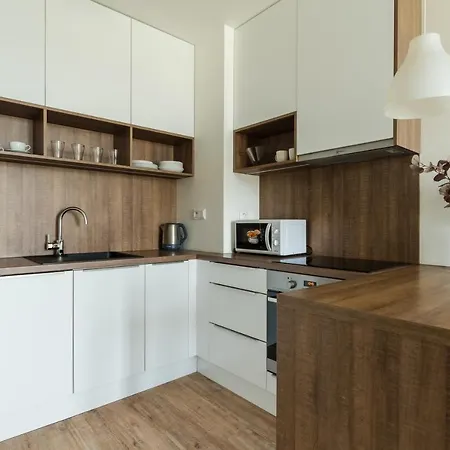 Apollis Business&budget By Ambiente Apartment