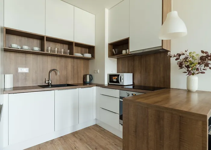 Apollis Business&budget By Ambiente Apartmán